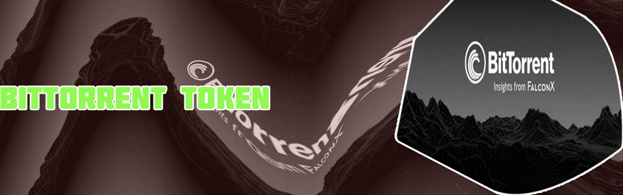 Bit torrent stock
